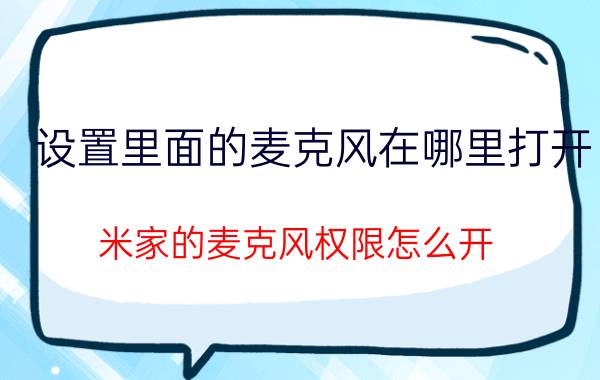 设置里面的麦克风在哪里打开 米家的麦克风权限怎么开？